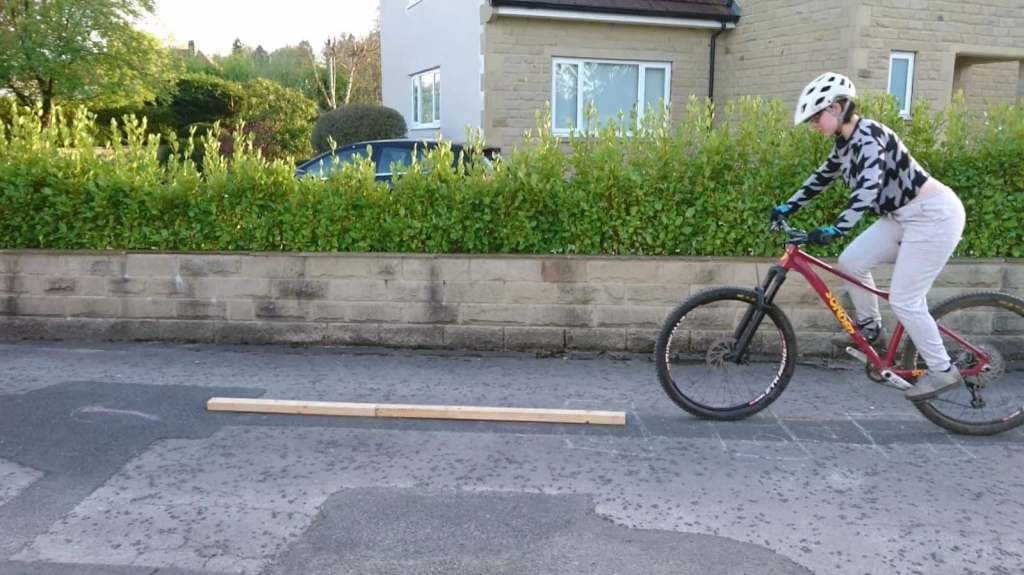 This image has an empty alt attribute; its file name is narrow-plank-1a-1.jpg